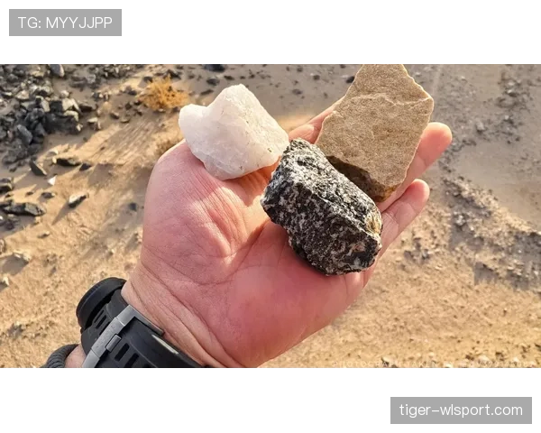 侯志慧家里是不是藏了金矿?光穿的就比我工资高一辈子! 侯志慧家里是不是藏了金矿?光穿的就比我工资高一辈子!